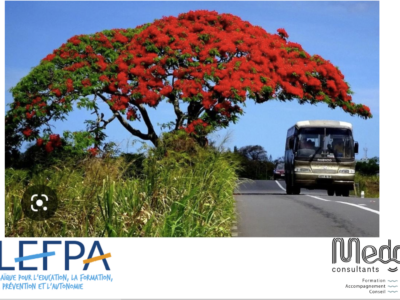 Formation Action avec l’ALEFPA de la Réunion