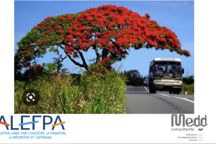 Formation Action avec l’ALEFPA de la Réunion